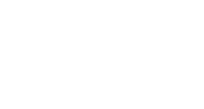 The Brazil 