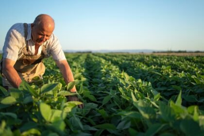 Produtor rural (Foto: Magnific)